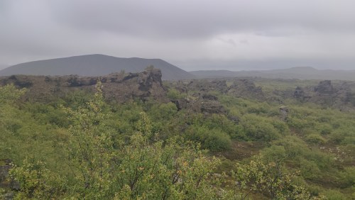 Volcan et forêt islandaise