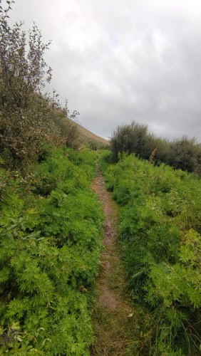Sentier sauvage en Islande Sentier sauvage en Islande