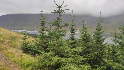 Port de l'Islande, vue depuis les collines Port de l'Islande, vue depuis les collines