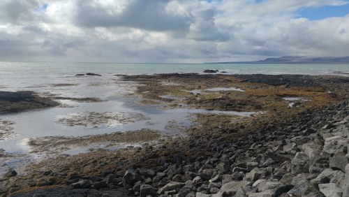 Plage rocheuse de l'Islande Plage rocheuse de l'Islande